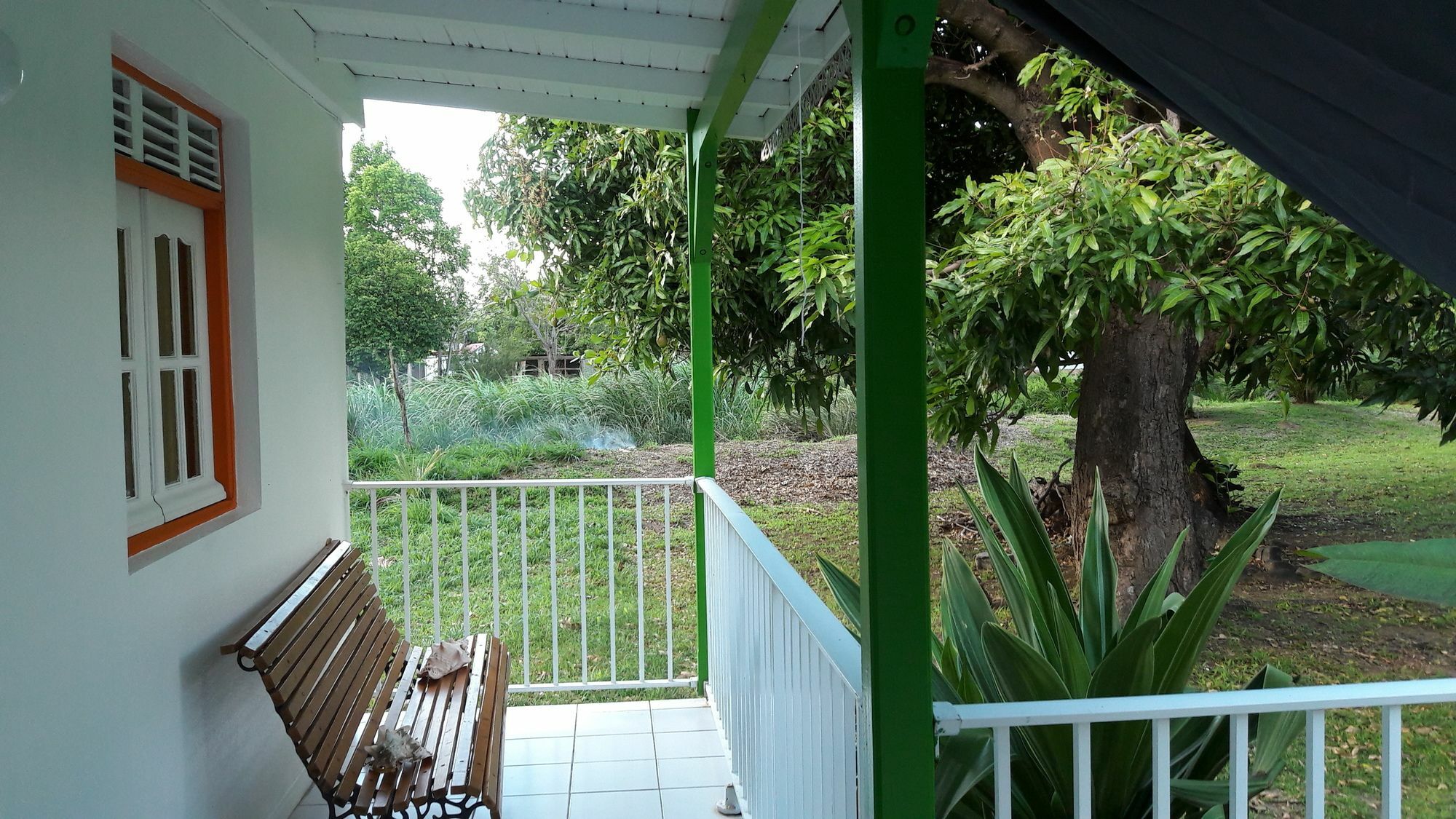 Bungalow Papaye Pointe-Noire Exteriör bild