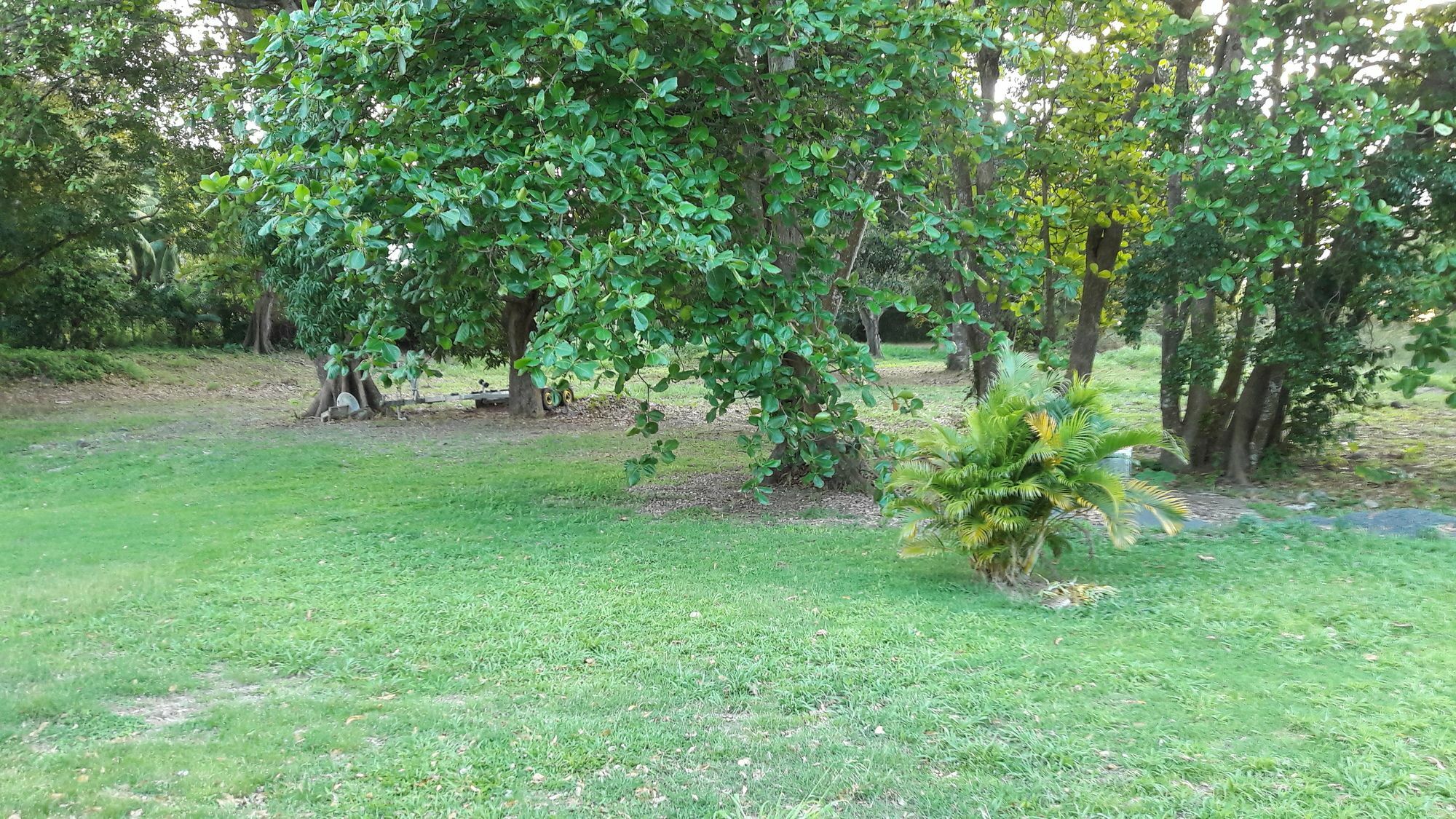 Bungalow Papaye Pointe-Noire Exteriör bild